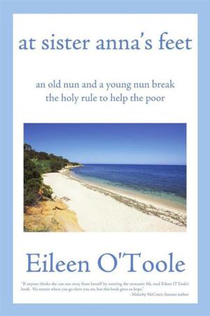Cover of the book At Sister Anna's Feet by Dr. Mark Sircus