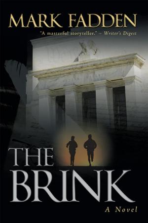 Cover of the book The Brink by Matthew David Carroll