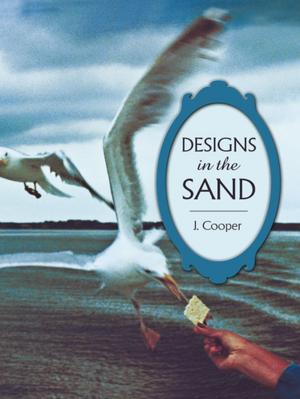 bigCover of the book Designs in the Sand by 