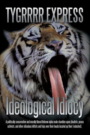 Cover of the book Ideological Idiocy by Becky L. Meadows