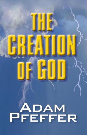 Cover of the book The Creation of God by Bharat Desai