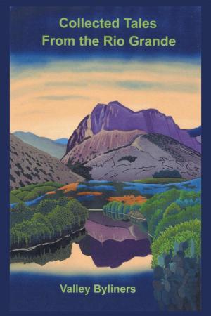 Cover of the book Collected Tales from the Rio Grande by Hector LeBlanc