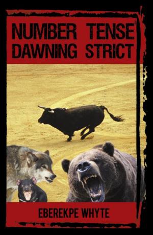 Cover of the book Number Tense Dawning Strict by J. P. Cloud