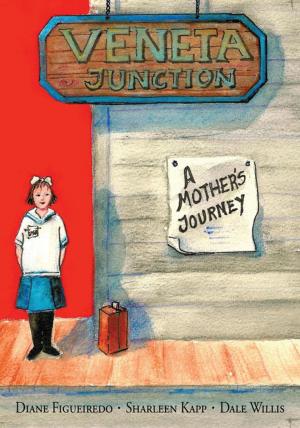 Cover of the book Veneta Junction by Mitchell Lee
