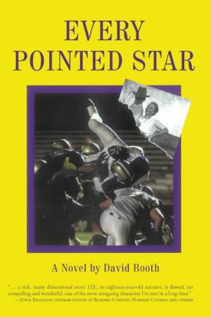 Cover of the book Every Pointed Star by Brian Gleason, Marcia Gleason LCSWs