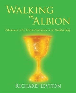 Cover of the book Walking in Albion by Jim Garrity