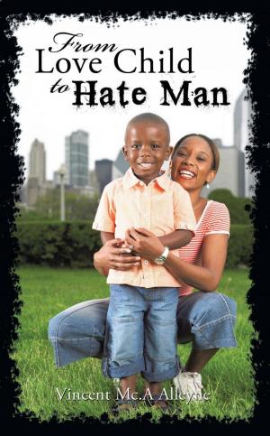 Cover of the book From Love Child to Hate Man by Matthew Geyer