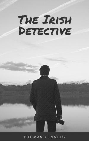 Book cover of The Irish Detective