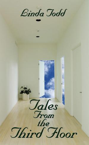 Cover of the book Tales from the Third Floor by Joseph F. Ruggiero