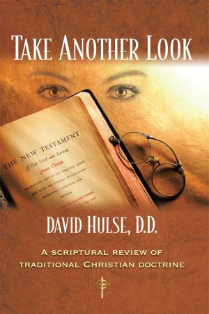 Cover of the book Take Another Look by Apostle Frederick E. Franklin