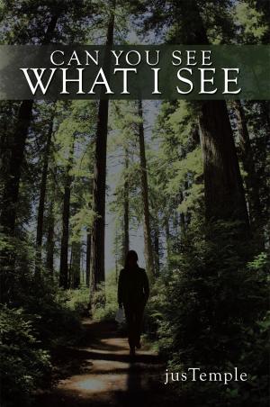 Cover of the book Can You See What I See by Brian Dooley