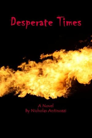 Cover of the book Desperate Times by Nicholas Antinozzi