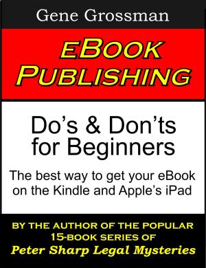 Book cover of eBook Publishing: Do's & Don'ts for Beginners