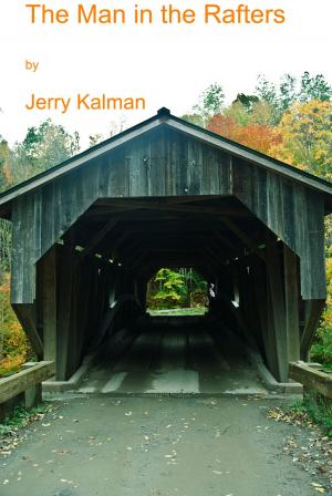 Cover of The Man in the Rafters
