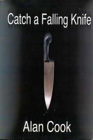 Cover of the book Catch a Falling Knife by Bonny Robinson Cook
