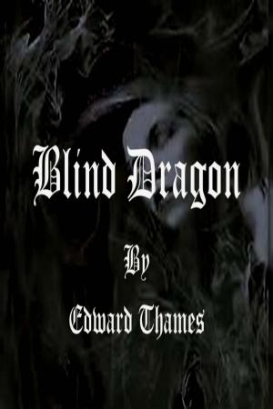 Cover of the book Blind Dragon by Sharon Joss