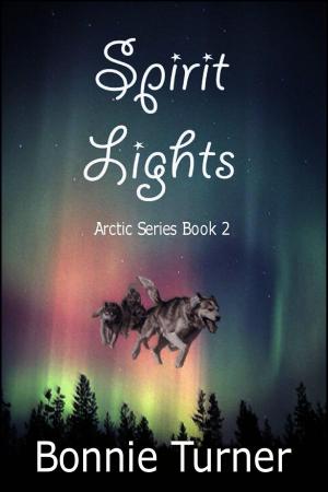 Book cover of Spirit Lights