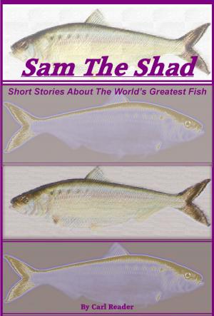 Cover of the book Sam the Shad by Stephen Cline