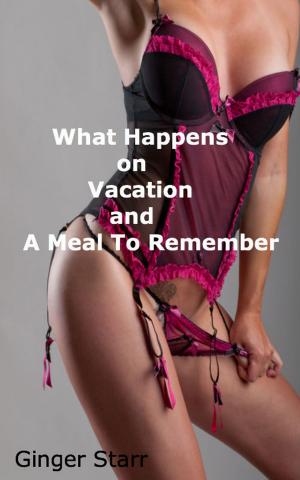 Cover of the book What Happens On Vacation and A Meal To Remember by Lindsay McKenna