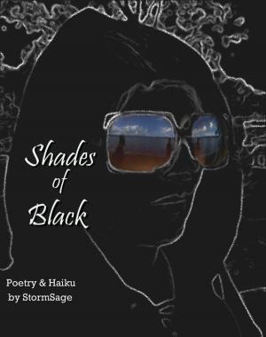 Cover of the book Shades of Black by Mohamed Abdel Aziz