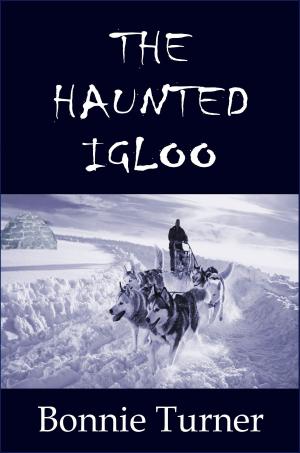 Book cover of The Haunted Igloo