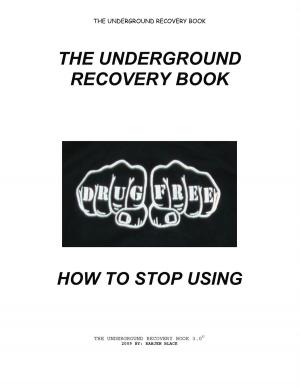 Cover of the book The Underground Recovery Book 3.0 How To Stop Using by Gwen Miller