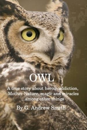 Book cover of OWL A True Story About Heroin Addiction, Mother Nature, Magic and Miracles . . . Among Other Things