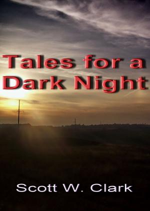 Book cover of Tales for a Dark Night