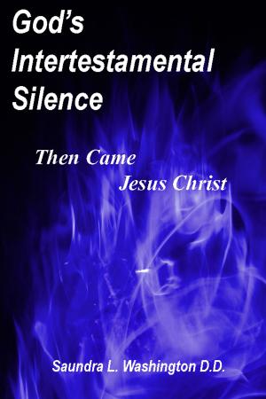 Cover of the book God's Intertestamental Silence: Then Came Jesus Christ by Saundra L. Washington D.D.