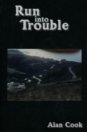 Book cover of Run into Trouble