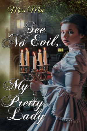 Cover of the book See No Evil, My Pretty Lady by J.R. Locke