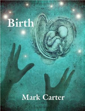 Cover of the book Birth by Ardy