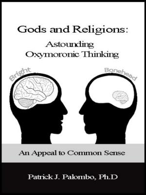 Book cover of Astounding Oxymoronic Fantasies: Gods and Religions. An Appeal to Common Sense.