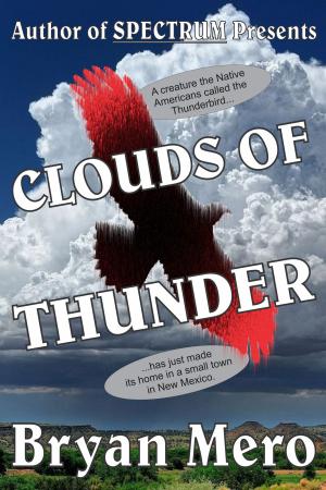 Cover of the book Clouds of Thunder by Tawnya Jenkins