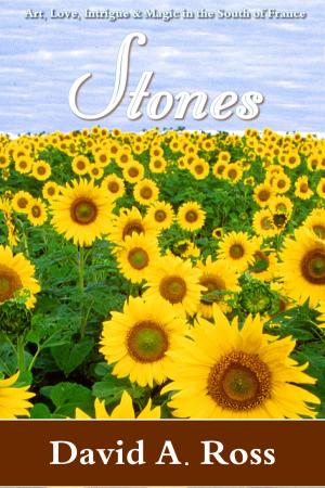 Cover of the book Stones by Judy Volhart