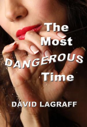 Cover of the book The Most Dangerous Time by Glen R Stansfield