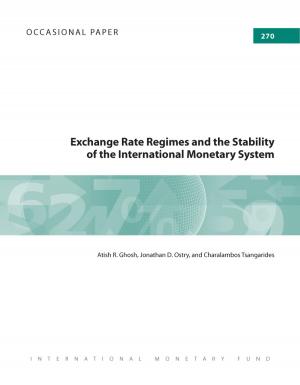 Cover of the book Exchange Rate Regimes and the Stability of the International Monetary System by Israel Fainboim Yaker, Sailendra Pattanayak