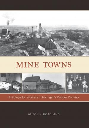 Cover of the book Mine Towns by Ericka Beckman