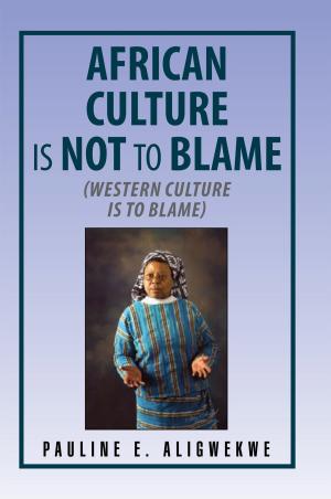 Cover of the book African Culture Is Not to Blame by Sr. Virginia Kampwerth PHJC