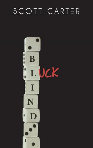 Cover of the book Blind Luck by B.J. Bayle