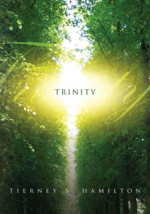Cover of the book Trinity by Paul Tshuma