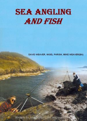 Book cover of Sea Angling And Fish
