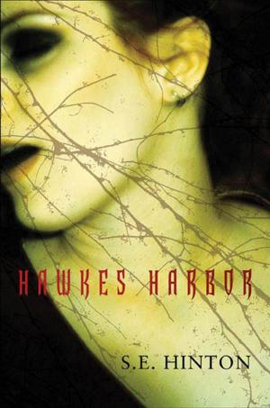 Cover of the book Hawkes Harbor by Eric Van Lustbader