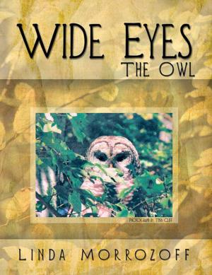 Book cover of Wide Eyes the Owl