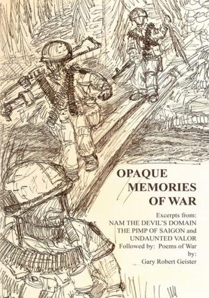 Cover of the book Opaque Memories of War by John Beach
