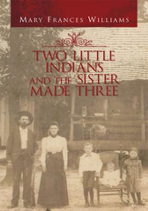Cover of the book Two Little Indians and the Sister Made Three by Matthew Hurley