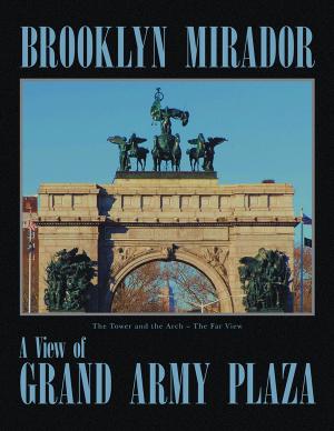 Cover of the book Brooklyn Mirador by Morgan Levy