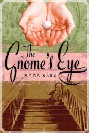 Cover of the book The Gnome's Eye by Monique Polak
