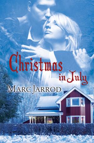 Cover of the book Christmas in July by Valerie Brundage