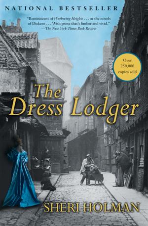 Cover of the book The Dress Lodger by Robert  Olen Butler